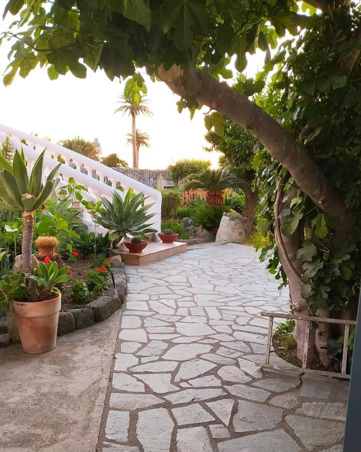 Casa Ischia Apartment Forio  Exterior photo