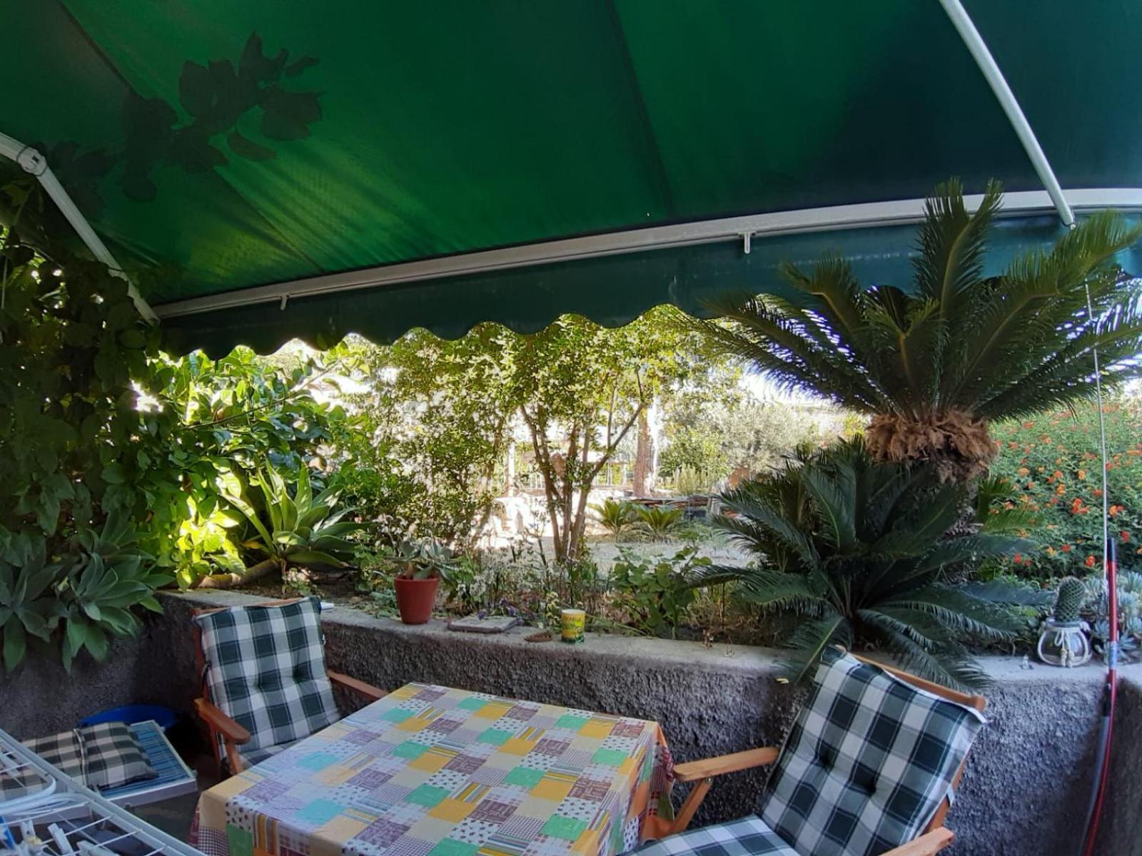 Casa Ischia Apartment Forio  Room photo