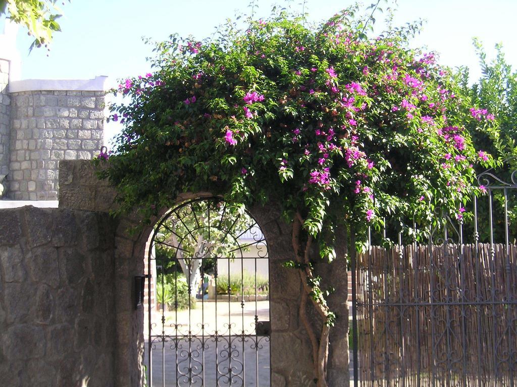 Casa Ischia Apartment Forio  Exterior photo