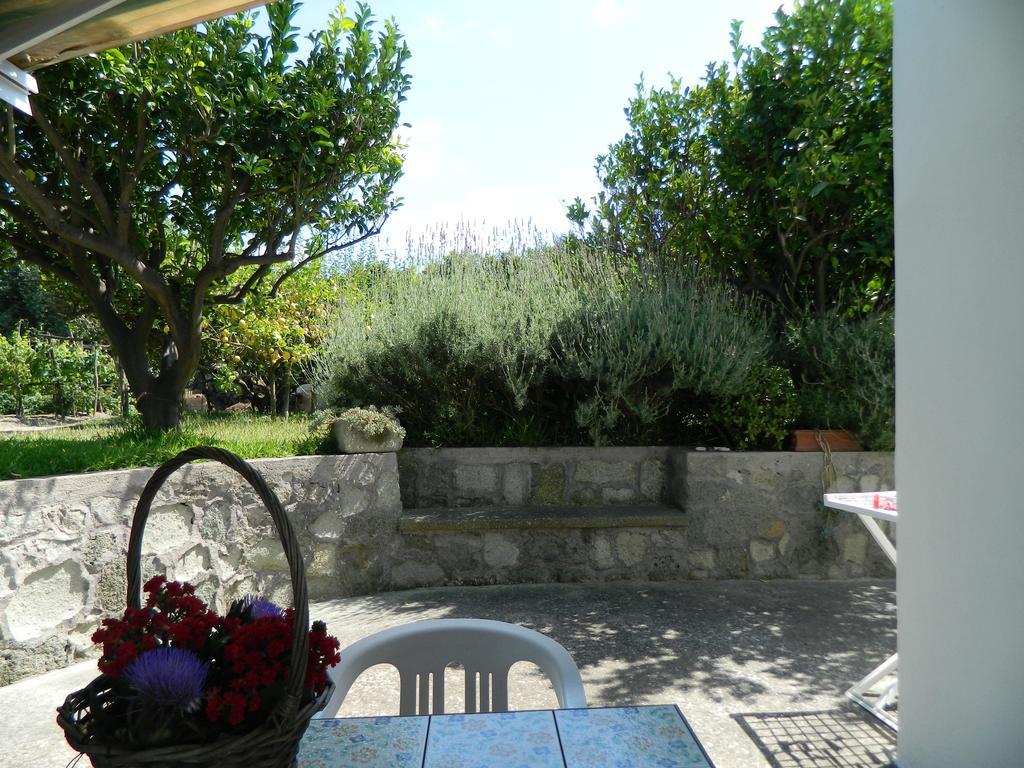 Casa Ischia Apartment Forio  Room photo